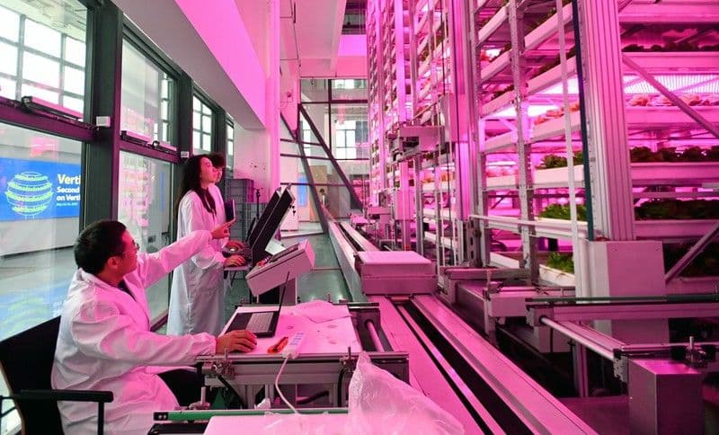 Investimento da China em P&D de tecnologias quânticas