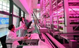 Investimento da China em P&D de tecnologias quânticas