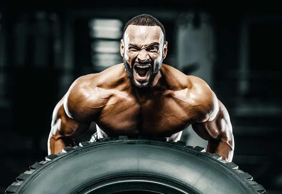 Treinamento de Força Tradicional (Musculação)