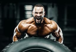 Treinamento de Força Tradicional (Musculação)